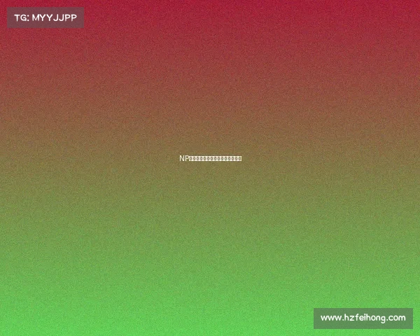 NP战队：荣耀之师能否再铸新传奇？